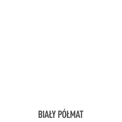altax-emalia-szybkoschnaca-bialy-polmat-250ml.png
