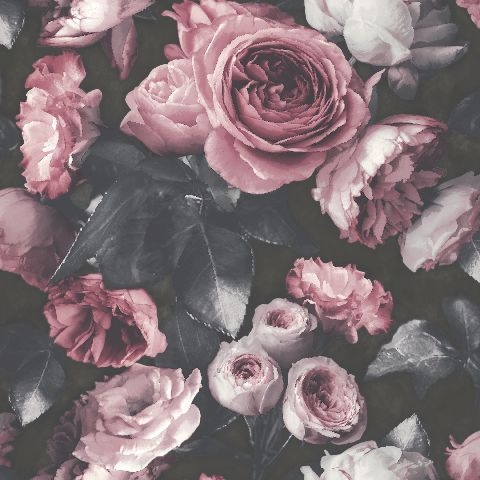 tapeta-156501-rozowe-kwiaty-na-czarnym-tle-1.jpg